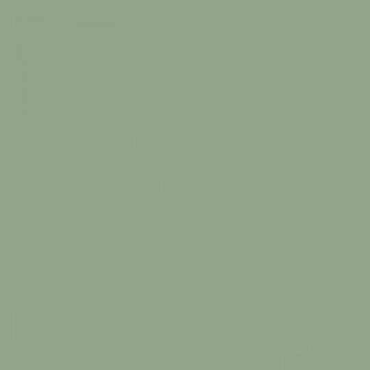 Flīžu ārējais profils PVC 2,5m/6*8/sage Flīžu ārējais profils PVC 2,5m/6*8/sage