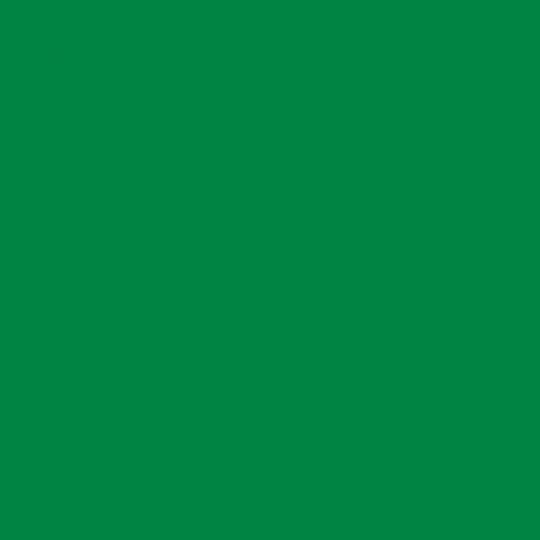 Flīžu ārējais profils PVC 2,5m/11,5*10/zaļa Flīžu ārējais profils PVC 2,5m/11,5*10/zaļa