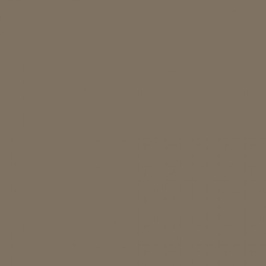 Pārejas profils 2,8m/40*2/Šampanieša krāsa Pārejas profils 2,8m/40*2/Šampanieša krāsa