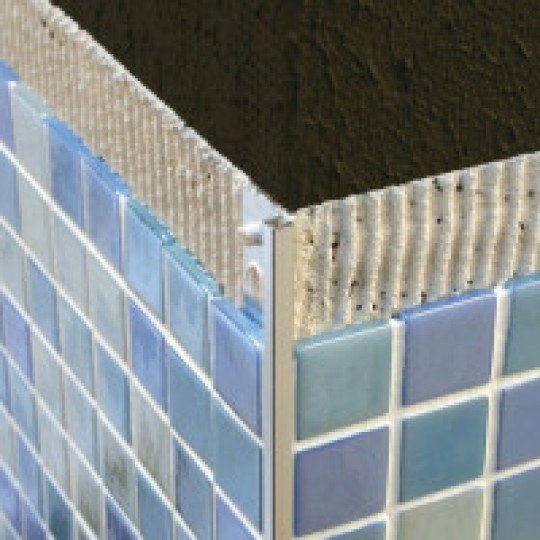 Mozaīkas profils 2,5m/10*5/sudrabs matēts 